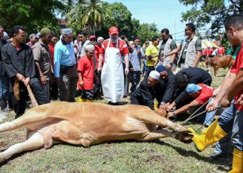 PENYEMBELIHAN KORBAN DI HARI RAYA AIDILADHA DIPERTIKAI