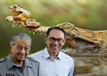 KISAH DONGENG KATAK PAKATAN DAN BUAYA HARAPAN