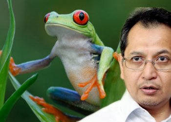 KISAH EZAM ‘KATAK’ YANG KENA KURUNG DALAM KOTAK