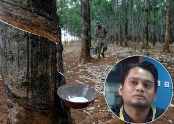 TIADA KEMAKMURAN BERSAMA DALAM RANTAIAN INDUSTRI GETAH JIKA PEKEBUN KECIL DAN PENOREH DIABAIKAN