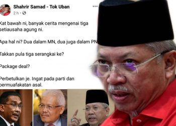 KENYATAAN ANNUAR MUSA MENGUNTUNGKAN SIAPA?